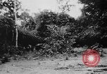 Image of OSS interrogate Japanese Burma, 1944, second 38 stock footage video 65675072042