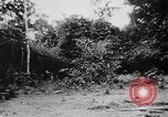 Image of OSS interrogate Japanese Burma, 1944, second 39 stock footage video 65675072042
