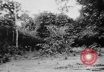 Image of OSS interrogate Japanese Burma, 1944, second 40 stock footage video 65675072042
