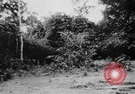 Image of OSS interrogate Japanese Burma, 1944, second 41 stock footage video 65675072042