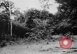 Image of OSS interrogate Japanese Burma, 1944, second 42 stock footage video 65675072042