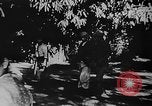 Image of OSS interrogate Japanese Burma, 1944, second 43 stock footage video 65675072042