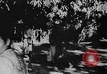 Image of OSS interrogate Japanese Burma, 1944, second 44 stock footage video 65675072042
