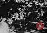 Image of OSS interrogate Japanese Burma, 1944, second 45 stock footage video 65675072042