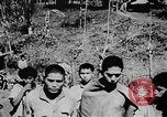 Standbild OSS Vernehmung des japanischen erfasst Birma, 1944, aus Sekunde 13 historischem Filmmaterial Videoclip 65675072043