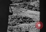 Standbild OSS-Aktivitäten in Birma Birma, 1944, aus Sekunde 16 historischem Filmmaterial Videoclip 65675072044