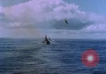 Standbild USS Ommaney Bay CVE-79 brennen nach dem Angriff Luzon Philippinen, 1945, aus Sekunde 49 historischem Filmmaterial Videoclip 65675072050