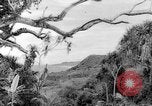Image of Chamorro natives Guam, 1939, second 3 stock footage video 65675072054
