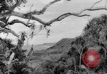 Image of Chamorro natives Guam, 1939, second 5 stock footage video 65675072054