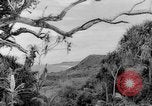 Image of Chamorro natives Guam, 1939, second 7 stock footage video 65675072054