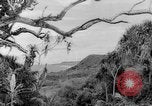 Image of Chamorro natives Guam, 1939, second 8 stock footage video 65675072054