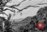 Image of Chamorro natives Guam, 1939, second 9 stock footage video 65675072054