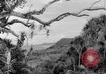Image of Chamorro natives Guam, 1939, second 10 stock footage video 65675072054
