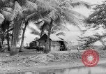 Image of Chamorro natives Guam, 1939, second 19 stock footage video 65675072054