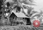 Image of Chamorro natives Guam, 1939, second 40 stock footage video 65675072054