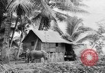 Image of Chamorro natives Guam, 1939, second 41 stock footage video 65675072054