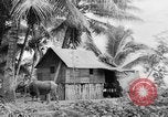 Image of Chamorro natives Guam, 1939, second 42 stock footage video 65675072054