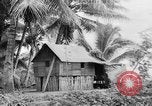 Image of Chamorro natives Guam, 1939, second 44 stock footage video 65675072054