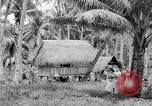 Image of Chamorro natives Guam, 1939, second 46 stock footage video 65675072054