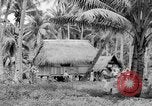 Image of Chamorro natives Guam, 1939, second 47 stock footage video 65675072054