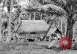 Image of Chamorro natives Guam, 1939, second 49 stock footage video 65675072054
