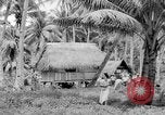 Image of Chamorro natives Guam, 1939, second 50 stock footage video 65675072054