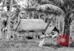 Image of Chamorro natives Guam, 1939, second 51 stock footage video 65675072054