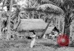 Image of Chamorro natives Guam, 1939, second 52 stock footage video 65675072054