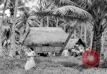 Image of Chamorro natives Guam, 1939, second 53 stock footage video 65675072054