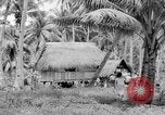 Image of Chamorro natives Guam, 1939, second 57 stock footage video 65675072054