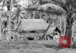 Image of Chamorro natives Guam, 1939, second 59 stock footage video 65675072054