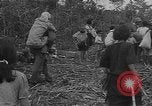 Standbild amerikanische Soldaten Guam, 1945, aus Sekunde 44 historischem Filmmaterial Videoclip 65675072059