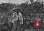Standbild amerikanische Soldaten Guam, 1945, aus Sekunde 53 historischem Filmmaterial Videoclip 65675072059