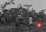 Standbild amerikanische Soldaten Guam, 1945, aus Sekunde 56 historischem Filmmaterial Videoclip 65675072059