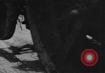 Standbild James Forrestal Guam, 1945, aus Sekunde 47 historischem Filmmaterial Videoclip 65675072061
