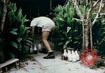 Standbild alien Haftanstalt essen Lieferung Crystal City Texas USA, 1943, aus Sekunde 19 historischem Filmmaterial Videoclip 65675072066