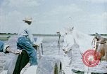 Image of Alien internment facility garden World War 2 Crystal City Texas USA, 1943, second 13 stock footage video 65675072069