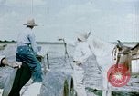 Image of Alien internment facility garden World War 2 Crystal City Texas USA, 1943, second 15 stock footage video 65675072069