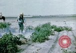 Image of Alien internment facility garden World War 2 Crystal City Texas USA, 1943, second 16 stock footage video 65675072069