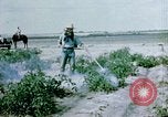 Image of Alien internment facility garden World War 2 Crystal City Texas USA, 1943, second 17 stock footage video 65675072069