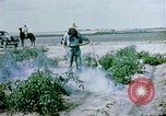Image of Alien internment facility garden World War 2 Crystal City Texas USA, 1943, second 18 stock footage video 65675072069