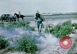 Image of Alien internment facility garden World War 2 Crystal City Texas USA, 1943, second 19 stock footage video 65675072069
