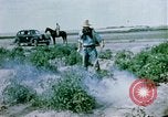 Image of Alien internment facility garden World War 2 Crystal City Texas USA, 1943, second 20 stock footage video 65675072069