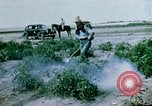 Image of Alien internment facility garden World War 2 Crystal City Texas USA, 1943, second 21 stock footage video 65675072069