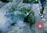Image of Alien internment facility garden World War 2 Crystal City Texas USA, 1943, second 23 stock footage video 65675072069