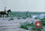 Image of Alien internment facility garden World War 2 Crystal City Texas USA, 1943, second 24 stock footage video 65675072069