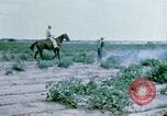 Image of Alien internment facility garden World War 2 Crystal City Texas USA, 1943, second 26 stock footage video 65675072069