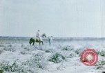 Image of Alien internment facility garden World War 2 Crystal City Texas USA, 1943, second 32 stock footage video 65675072069
