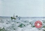 Image of Alien internment facility garden World War 2 Crystal City Texas USA, 1943, second 33 stock footage video 65675072069