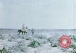 Image of Alien internment facility garden World War 2 Crystal City Texas USA, 1943, second 34 stock footage video 65675072069